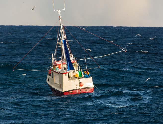 fishing vessels, fishermen and licenses