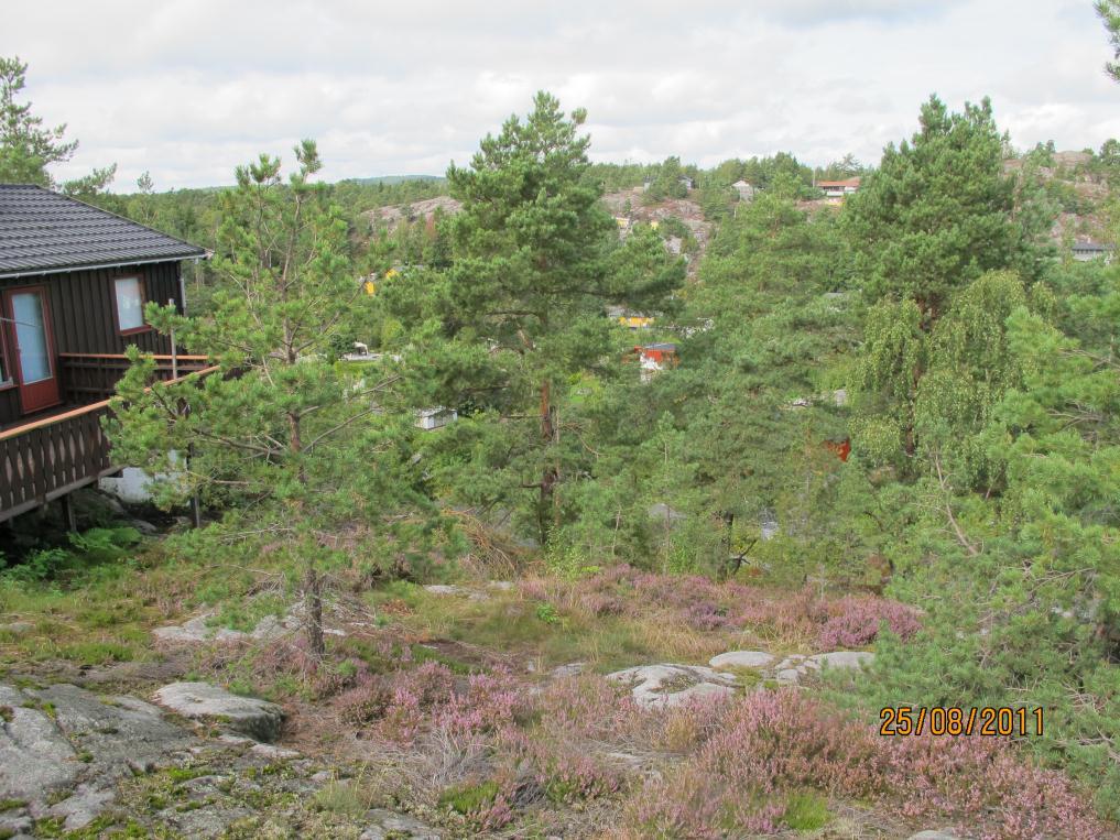 TELEMARK FYLKESKOMMUNE KULTURHISTORISK REGISTRERING Bamble kommune Vann og avløp