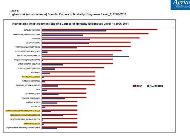 Til slutt noen tabeller fra Agria s statistikker, som bekrefter det som kom frem i vår egen helse og atferdsundersøkelse: Vi kan også se på oversikt over dødsårsaker fra Agria s statistikk for boxer