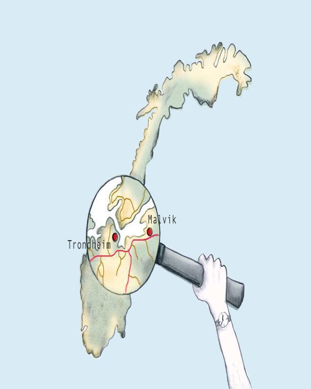 «Presskommune» bolig og