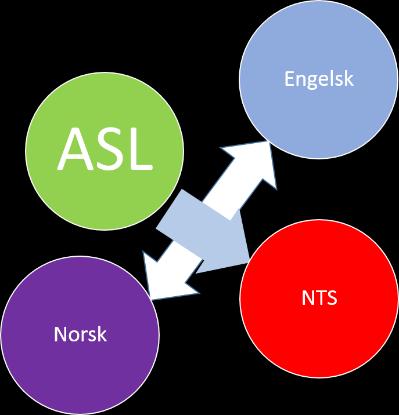 Under gjennomføringen ble det klart at resultant av arbeidet ikke var en oversettelse, men en "gjenfortelling" av historien av en ny historieforteller.