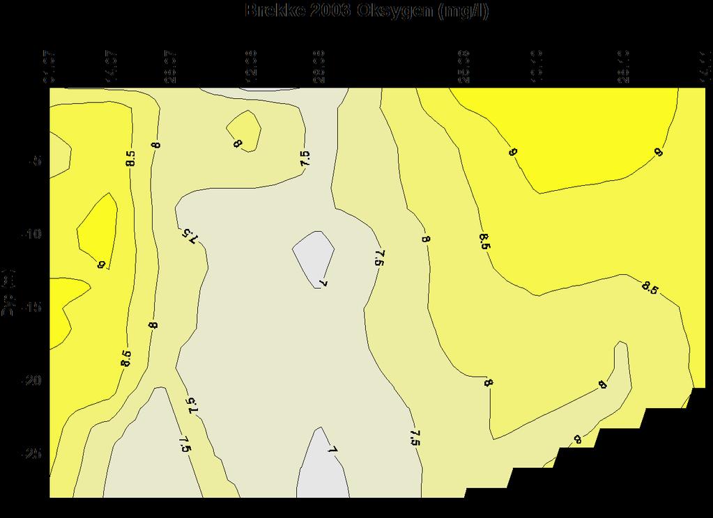Figur 56. Utvikling av brakkvannslagets dybde ved Brekke. De svarte trekantene angir måletidspunkt. Brakkvannet er farget blått, med inndeling etter salinitet. 4.10.