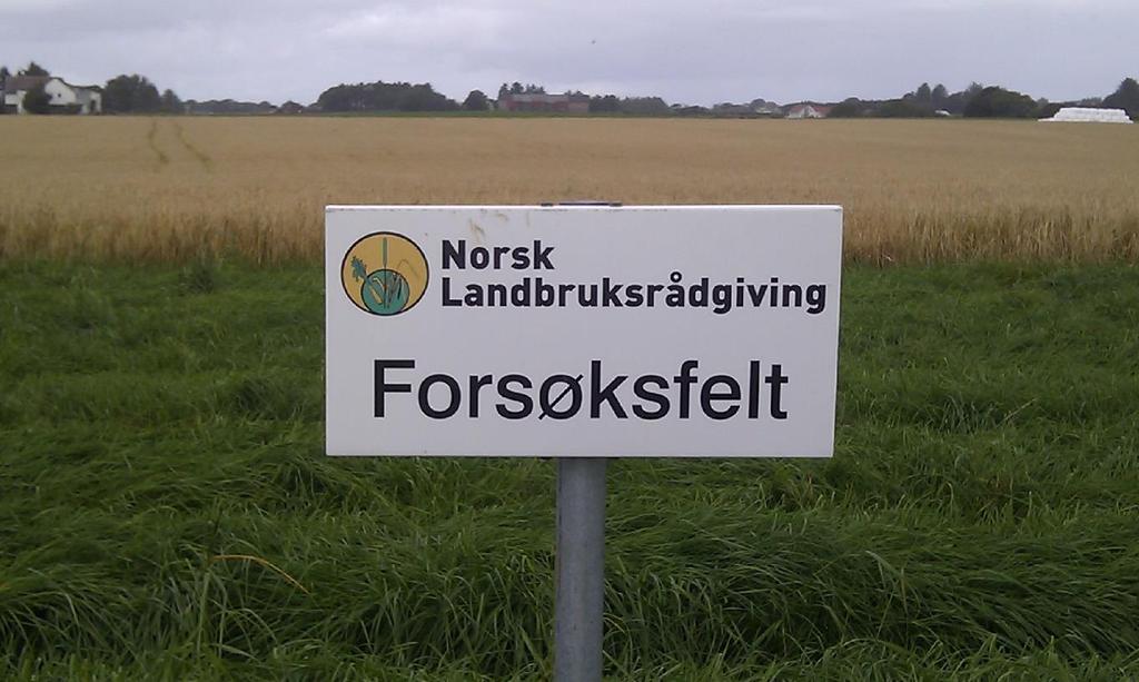 Norsk Landbruksrådgiving Rogaland Vår visjon : Lokal kunnskap vår styrke Våre verdiar: