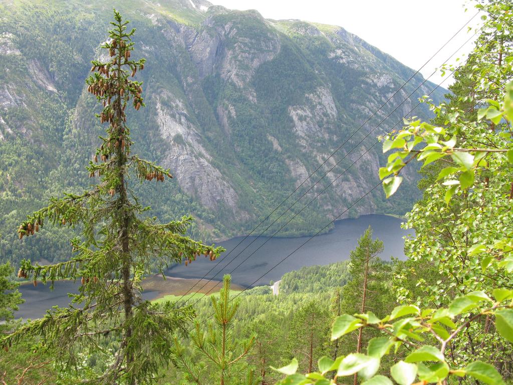 Bilder fra området Spådomsklaven Spådomsklaven sett