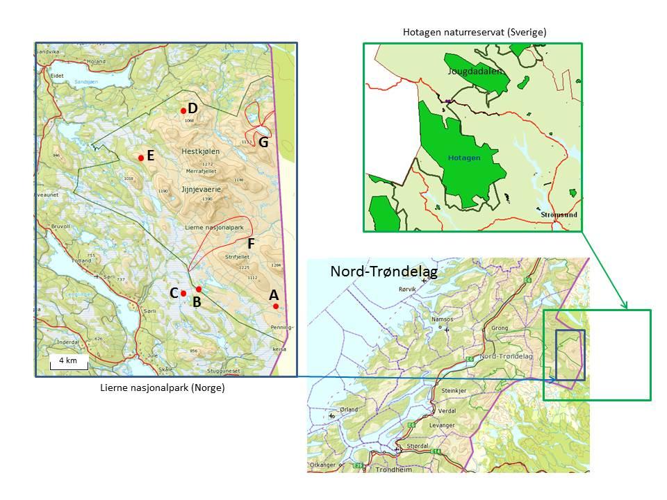 Lierne nasjonalpark Lierne nasjonalpark ligger i Lierne kommune i Nord-Trøndelag og ble opprettet ved kongelig resolusjon av 17. desember 2004 (Lovdata 2004). Parken har et areal på ca.