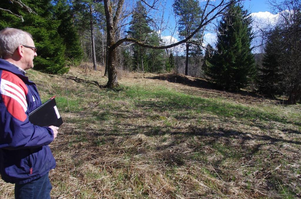 Bilder Figur 7 Landbruksvei med grøft, nedre