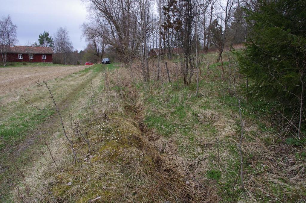 grøft Figur 8 Planlagt felles adkomstvei inn