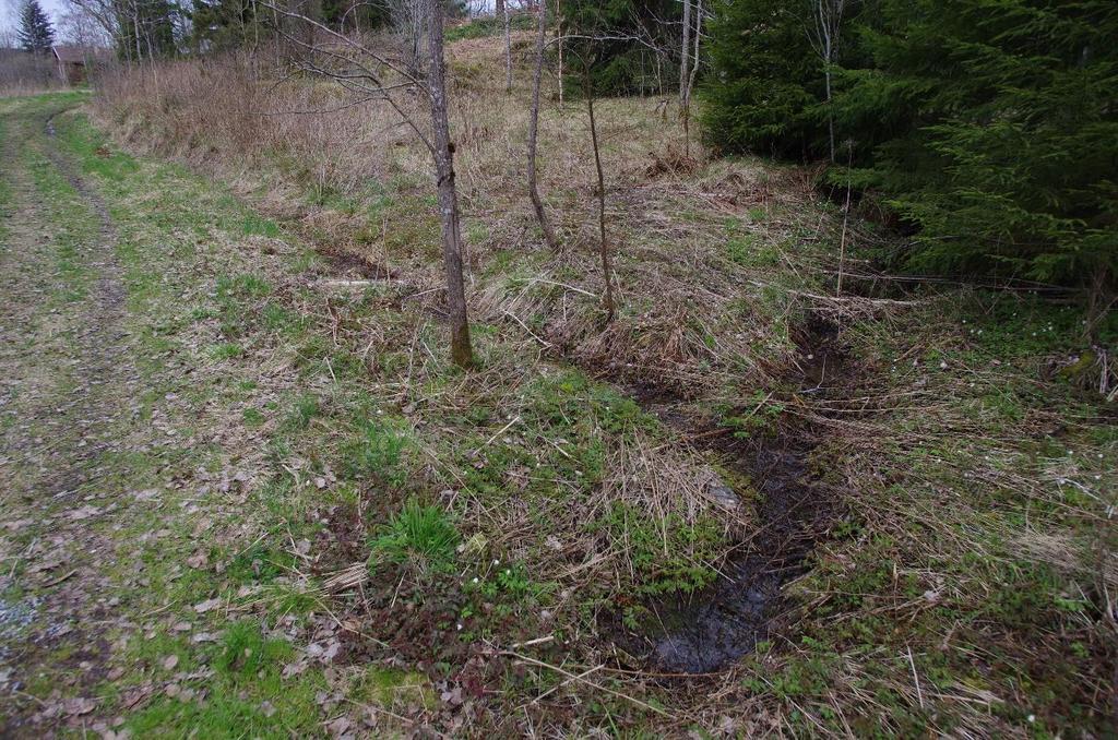 Regnbed - flomdemping i små urbane nedbørfelt. ExFlood faktaark. NVE, NVE. Paus, K. H. og B. C. Braskerud (2013).