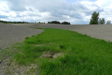 60000 Grasdekte vannveier i korn, Vestfold, meter 50000 40000 30000 20000 10000 0 2013 2014 2015 2016 2500 2000 1500 1000 500 0 Grasdekte vannveier i