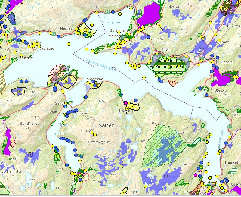 Kartutsnittet viser et utvalg av naturregistreringer i Skjerstadfjorden, Kilde: Miljøstatus. no.
