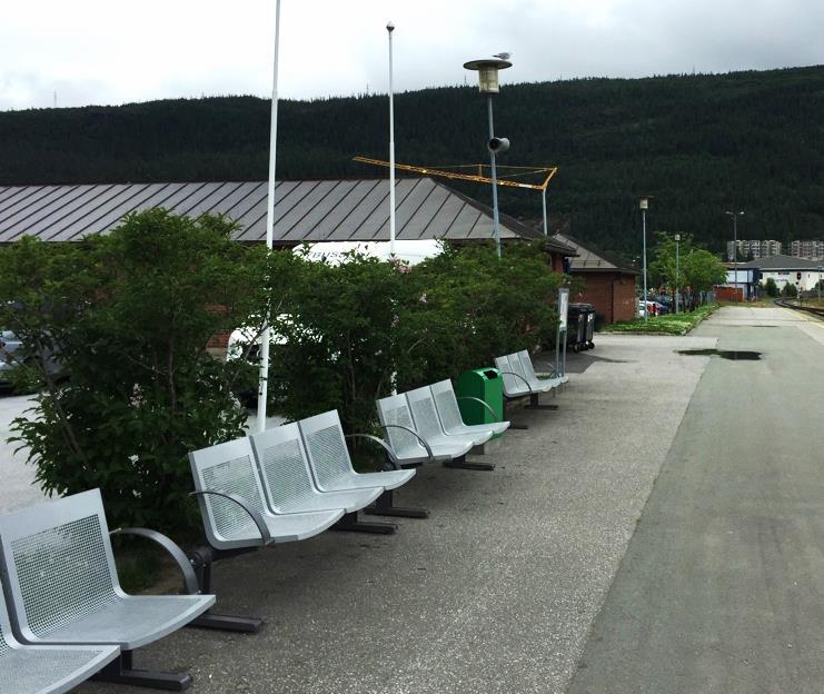 Begge lignosene har god vitalitet og få problemer. På sørsiden av stasjonsbygningen står en forholdsvis ung trerekke av alm (U. glabra) på totalt 10 individer.