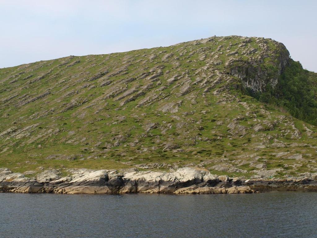 Rognane Landareal 4 da, sjøareal 121 da Rognane er ei samling små og låge skjer i fjorden mellom Hovden og fastlandet. Tradisjonell hekkeplass for måsefuglar.