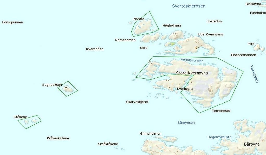 Ramsbarden Landareal 86 da, sjøareal 87 da Består av nordre Ramsbarden, ei øy søraust i Sognesjøen. Vegetasjonen er prega av lynghei, med nokre innslag av meir frodig flora prega av fuglegjødsling.