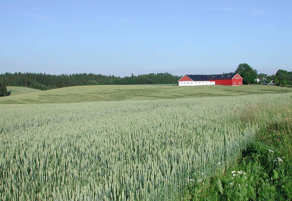 P-AL 5-7 er tilstrekkelig for å oppnå gode avlinger i korn og