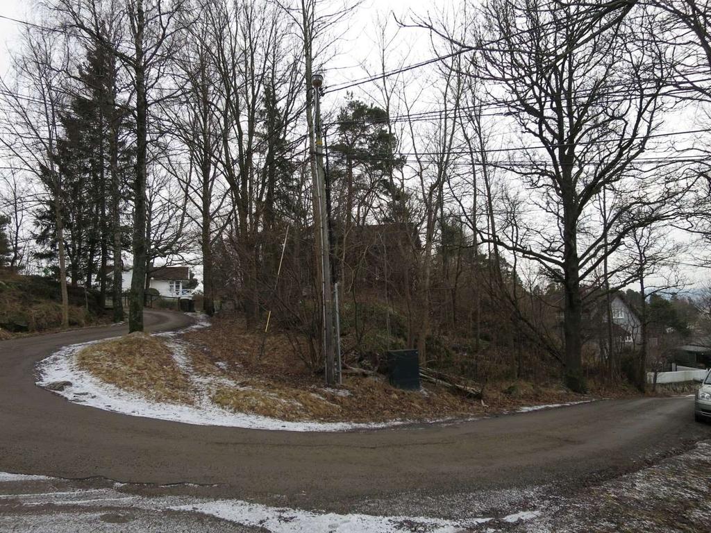 Figur 8: Skogveien med en liten rest av løvskog
