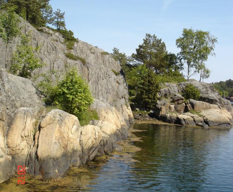 Toalett er skjult bak bjørketreet til høyre i bildet.