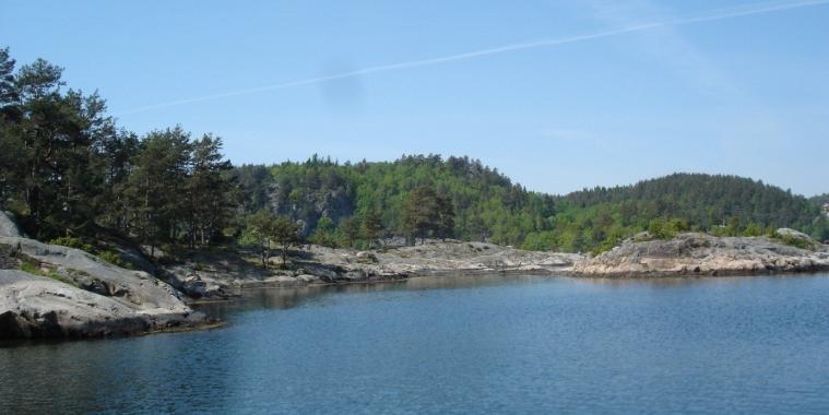 Rydding av vegetasjon i bakkant og anlegg av