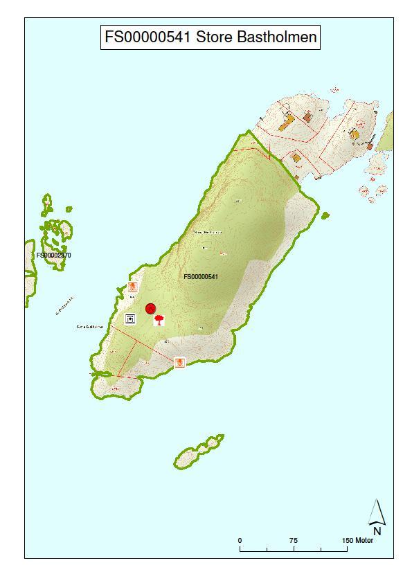 DEL 2: Forvaltningsplan : Store Bastholmen Kart nr. 10: Store Bastholmen FS 00000541.