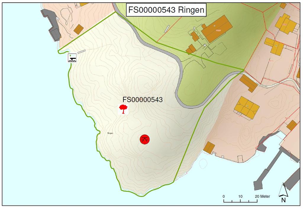 DEL 2: Forvaltningsplan : Ringen Kart nr. 12: Ringen, FS 00000543.