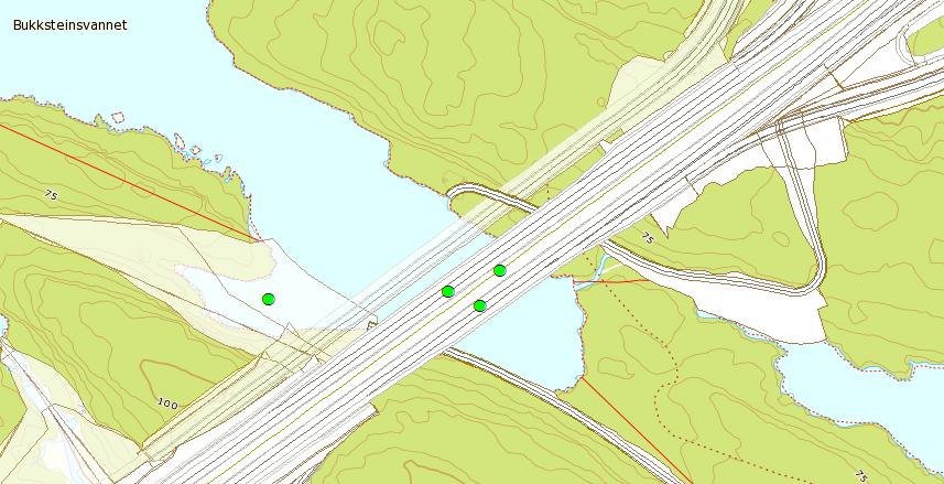 Figur 4: Punkter i Bukkesteinsvann der det er tatt ut sediment ved bruk