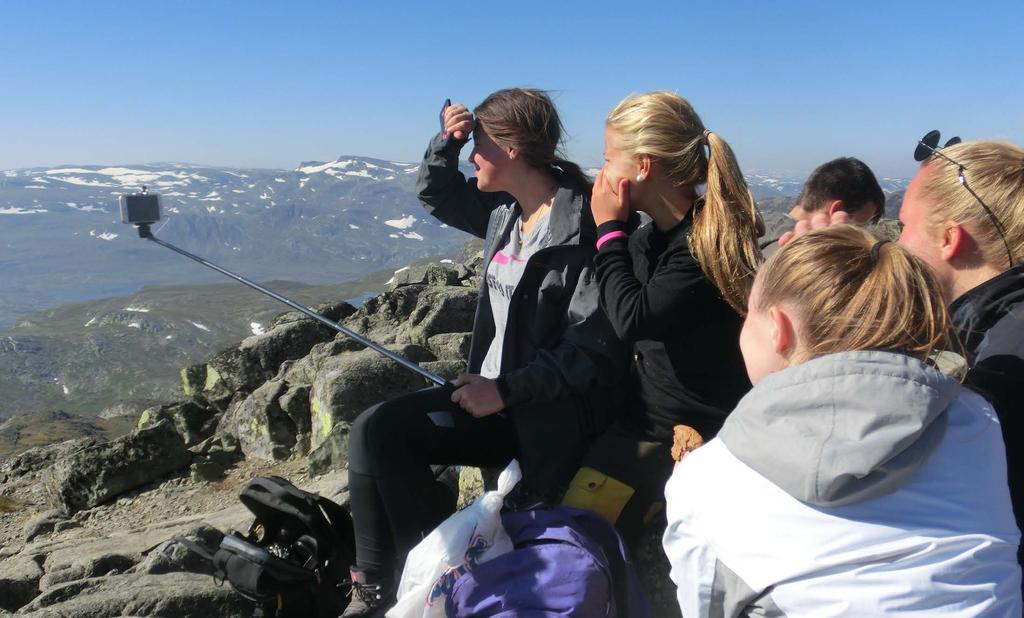 Målet med satsinga «Verdiskaping og næringsutvikling i fjellområda 2013-2017» er å styrke næringsutvikling og