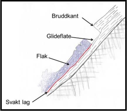 Figur 12: Flakskred med bruddkant, glideflate, flak og et svakt lag (glidesjikt).