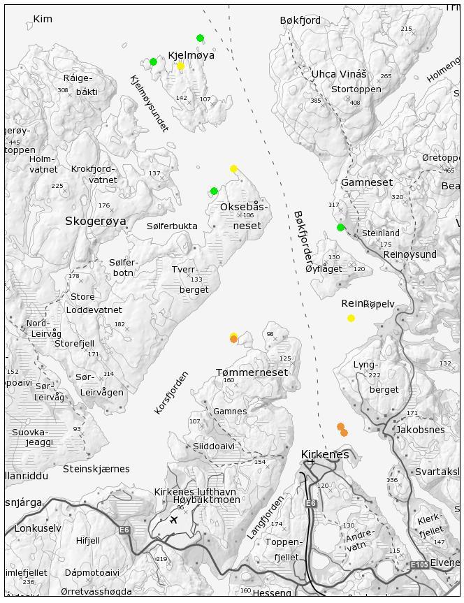 3.2 TARESKOG FRA 5-10 M DYP Tette tareskoger og skogflekker fantes fra 5 til 10 meters dybde ytterst (lengst nord) i fjorden.