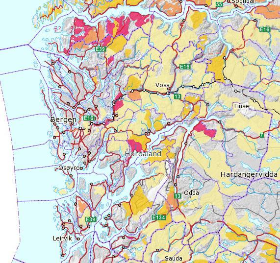 Beitebrukskart www.skogoglandskap.