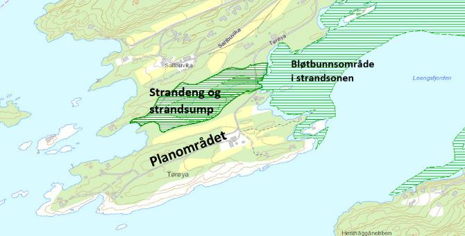 hyttetomter. Fortettingen på Fåraaunet medførte at både nye og eksisterende hyttetomter ligger innen 100-metersbeltet fra sjøen.