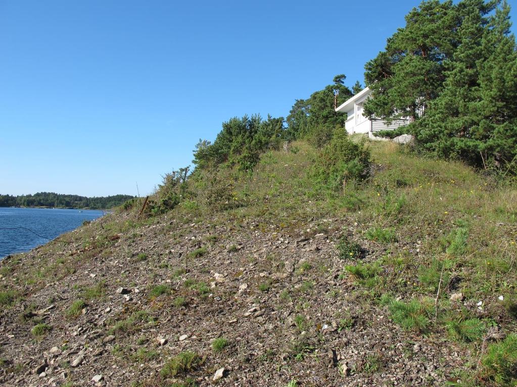 Oppdatert naturtypebeskrivelse Lokalitetsnr Naturbasen Naturtype Utforming Verdisetting BN00046469 Paradisbukta sør Åpen grunnlendt kalkmark Tørr, meget baserik eng i lavlandet Viktig (B) Figur 1.