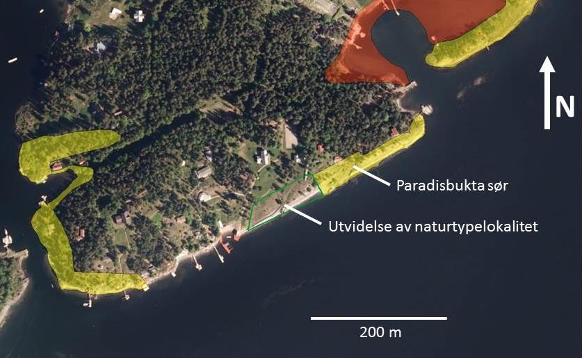 tiriltunge Lotus corniculatus åkermåne Agrimonia eupatoria Kart over lokaliteten Ortofoto over sørlige Grimsøya med eksisterende naturtypelokaliteter i