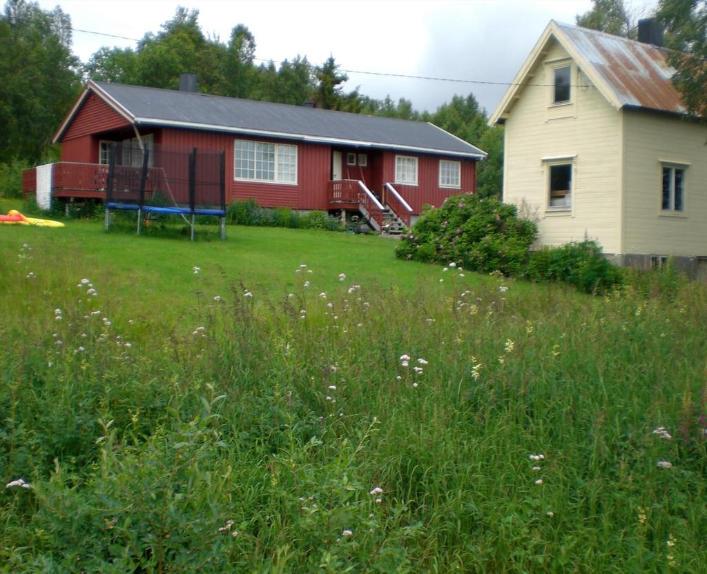 SALGSOPPGAVE Sjelden anledning på Lysnes, Senja, nesten 100 mål Fin hage og flott område rundt husene Prisantydning: 790 000 kr. + omk. Lånetakst: 950 000 kr.