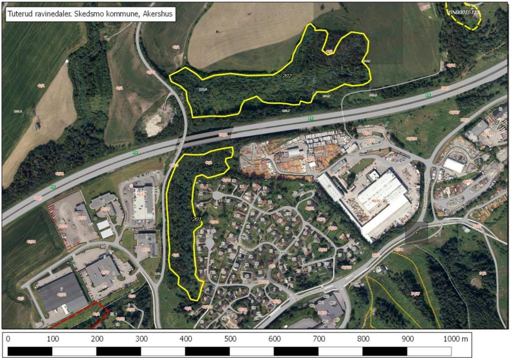 Metode Kartleggingsmetodikken følger i stort DN Håndbok 13 (Direktoratet for naturforvaltning 2007).