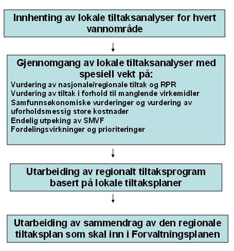 Fra lokale tiltaksanalyser