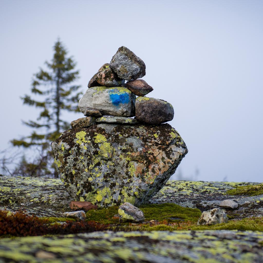 Utviklingen av Skrim Stadig flere oppdager hvilken perle Skrim er. Den korte veien til ren og urørt natur i «Norges minste fjellområde» gjør Skrim unik.