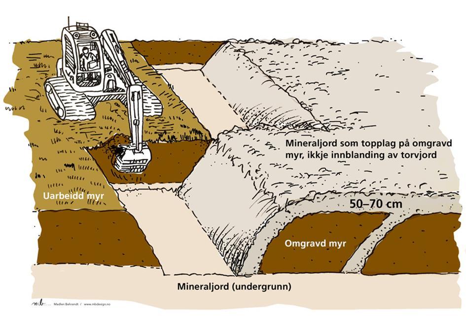 2.3 Dyrking ved omgraving I 1980-årende ble det utviklet en ny metode for dyrking av myr basert på omgraving av jordmassene, hvor underliggende mineraljord blir gravd opp og lagt som et lokk over
