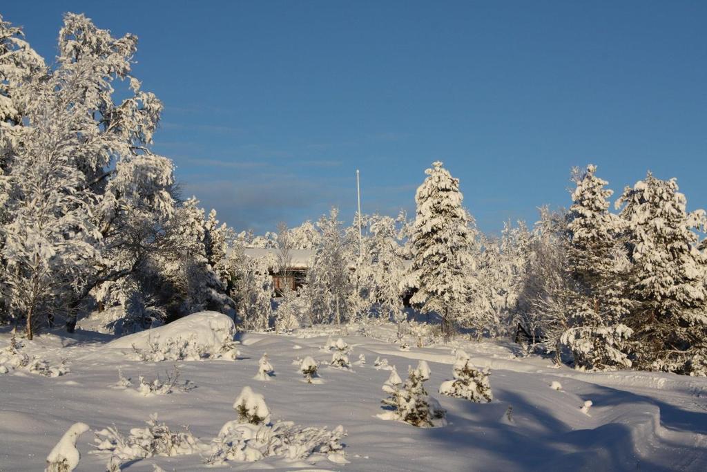 HVIT JUL På Heimstulen har det vært snø hver jul i manns minne.