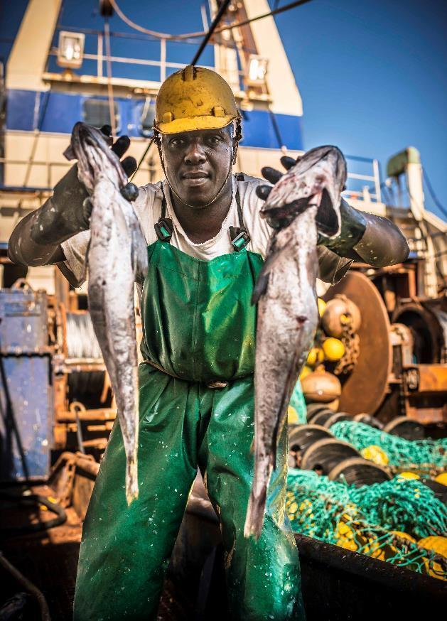 Eksempel: Lysingfiskeriet i Sør-Afrika - 10 000