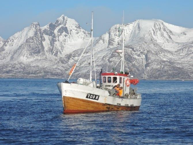Norske fiskerier 12 MSC-sertifiserte fiskerier 6 i vurdering (lange, brosme, rognkjeks, kolmule,