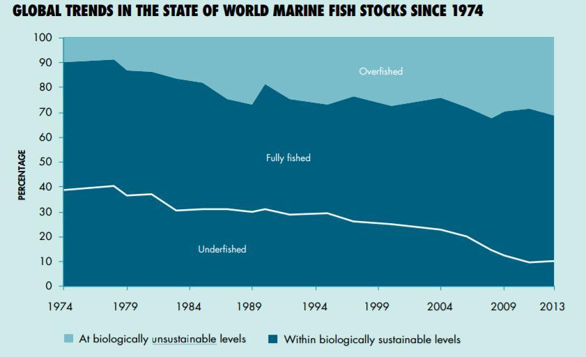 Status for fiskeressurser Grunnlaget for disse samfunnsøkonomiske fordelene tæres Fra 1950 til 2014, verdens fiskeriproduksjon økte fra est.