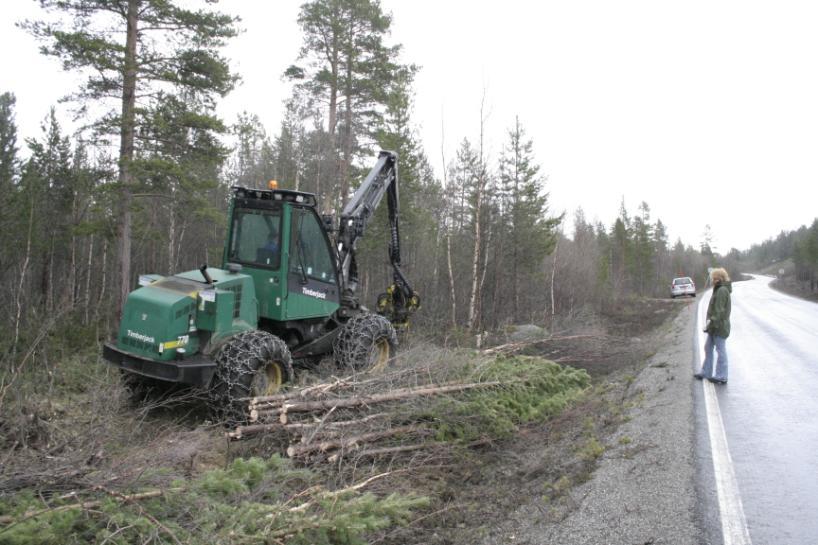 Prosjekt Reduksjon av viltpåkjørsler i Nordland 2001-2005 Tiltakene er i stor