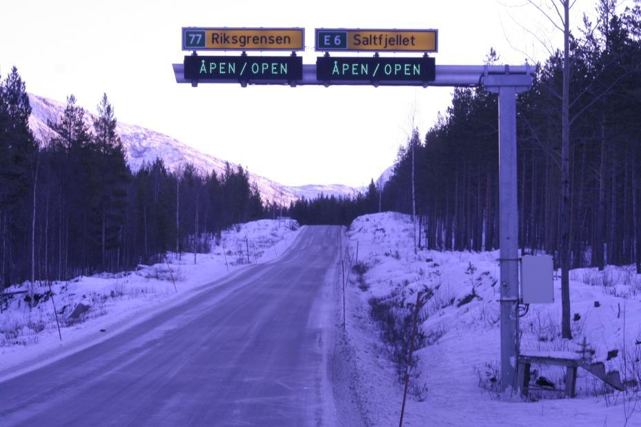 Plan for skogrydding langs hovedveier i Salten 2006-2010 Arbeidsgruppe med en person fra hver kommune skal lede