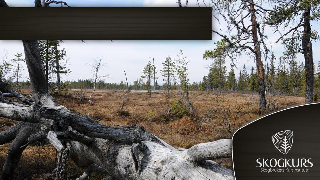 Ny Skogbeskatning Kopirettigheter: Presentasjonen tilhører