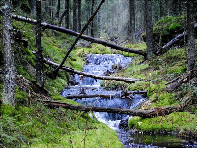 3: Etterlikne hvordan naturen håndterer vann Tilbake til naturen Paradigmeskiftet i håndteringen av overvann Tradisjonell håndtering av