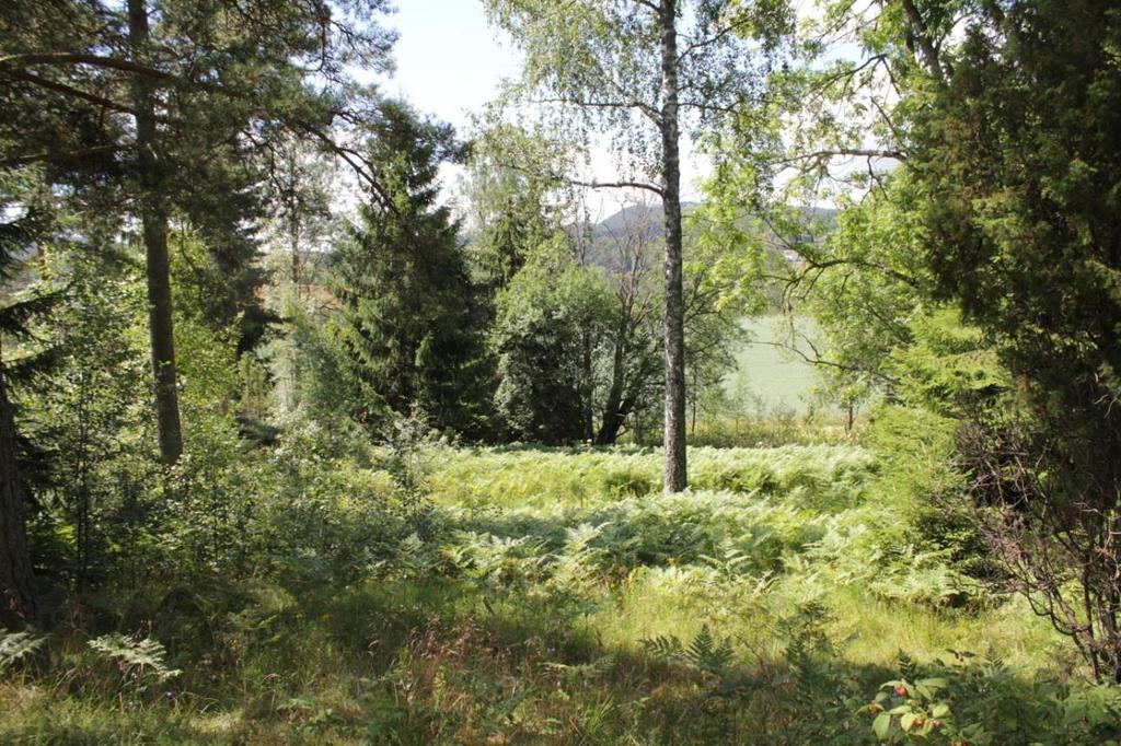 Innledning Bakgrunn for registreringen av automatisk fredete kulturminner er regulering av området til seniorboliger, gbnr 95/3 m. fl Enebakk kommune.