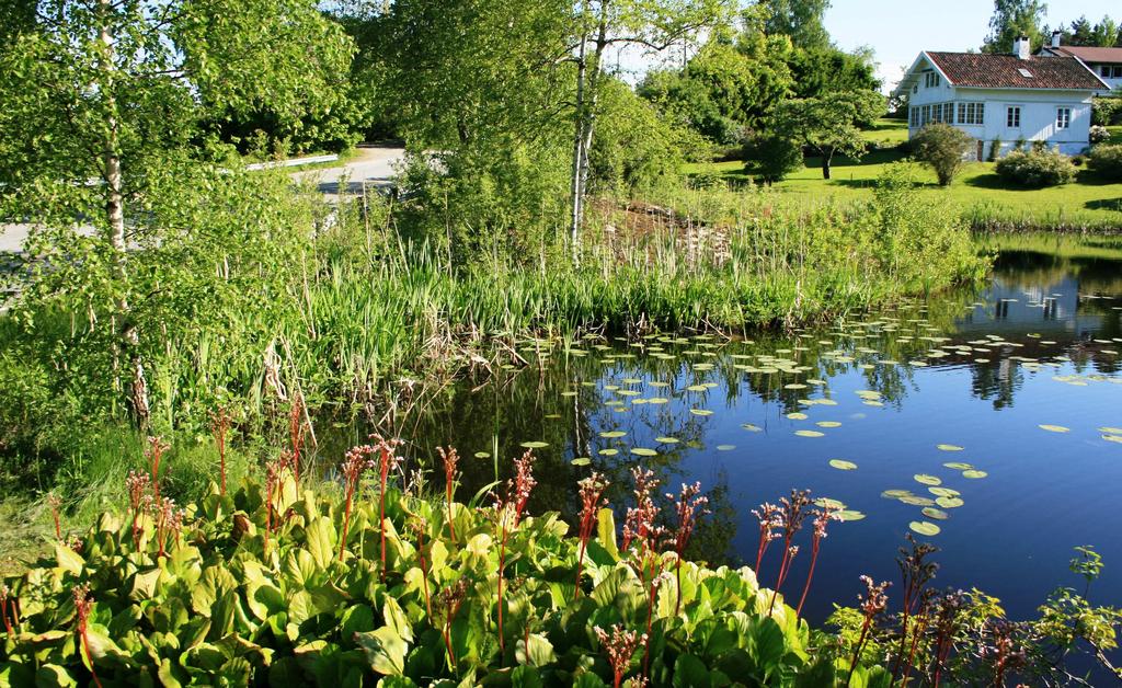 Landskapet varierer fra spredd bebyggelse med hageanlegg til skogområden med inslag av myrlent terreng.