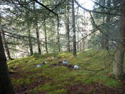 Videre finnes gressletter i våtmarksområder med innslag av flere knauser og berg.