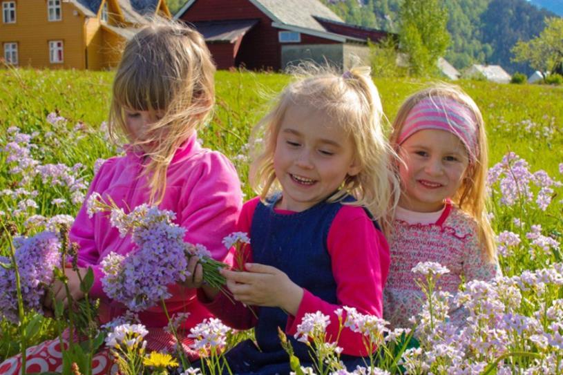 Nærings- og samfunnsplan Region Nordhordland Faktagrunnlag Region Nordhordland helsehus Region Nordhordland Helsehus er under planlegging i Knarvik.