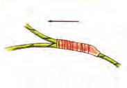 Ved skjøting av to lunter skal dette gjøres med sikker knute, eller ved at luntene surres sammen med tape i en lengde av minst 10 cm.