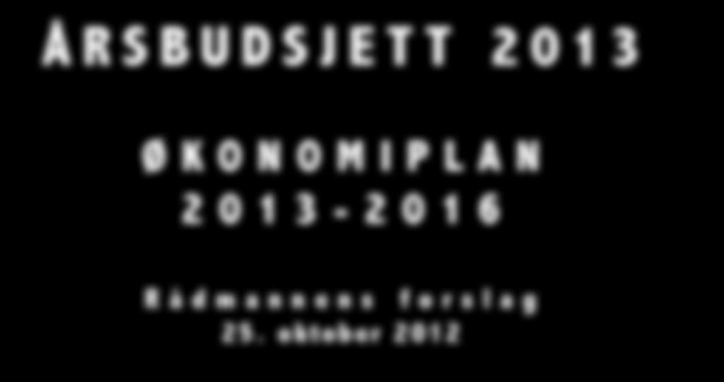 ØKONOMIPLAN 2013-2016